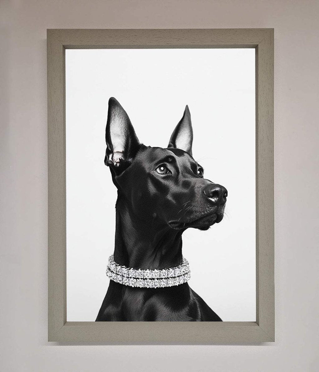 Black Doberman Diamond Neckless Framed Poster