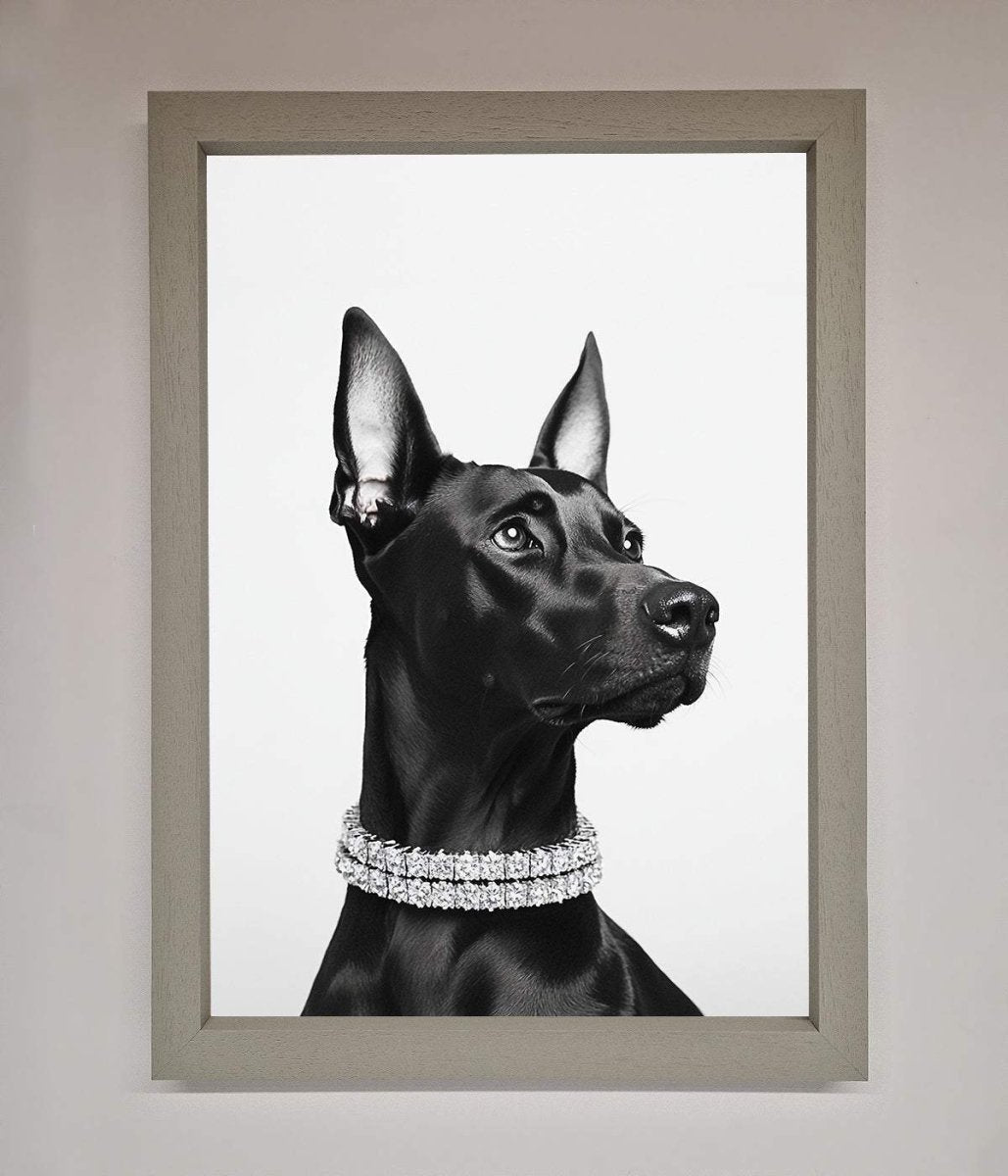 Black Doberman Diamond Neckless Framed Poster