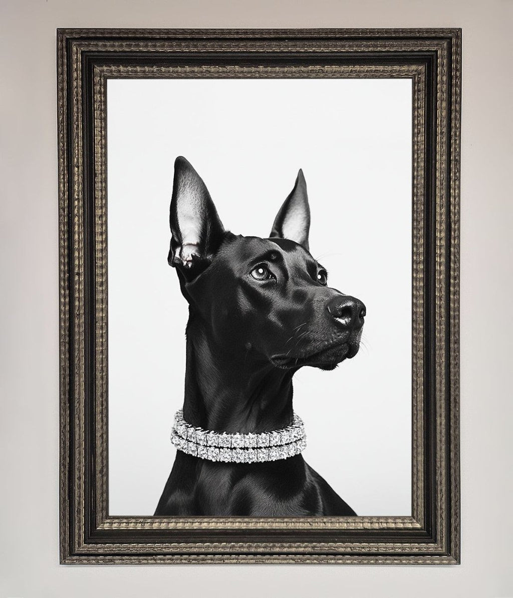 Black Doberman Diamond Neckless Framed Poster