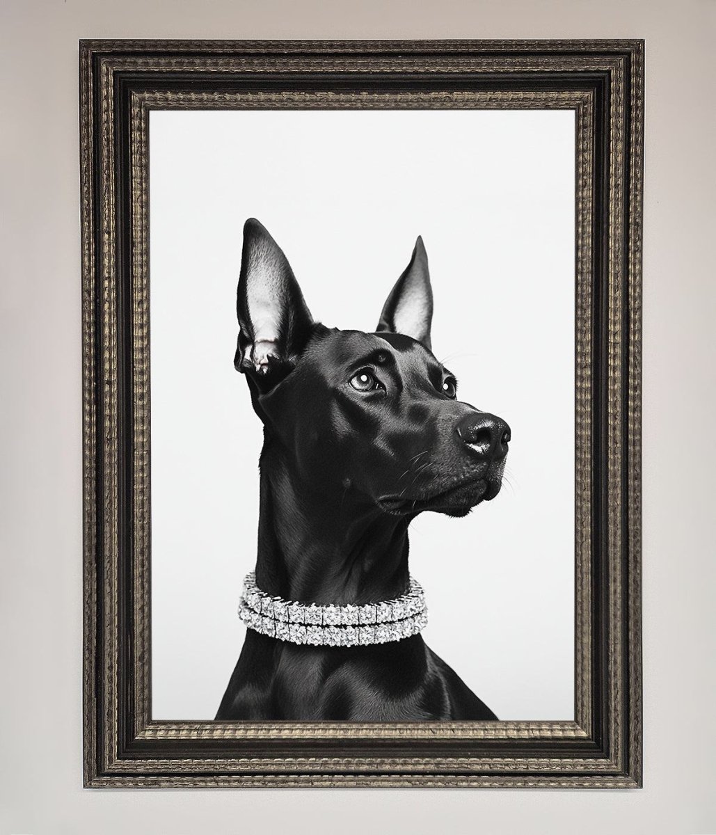 Black Doberman Diamond Neckless Framed Poster