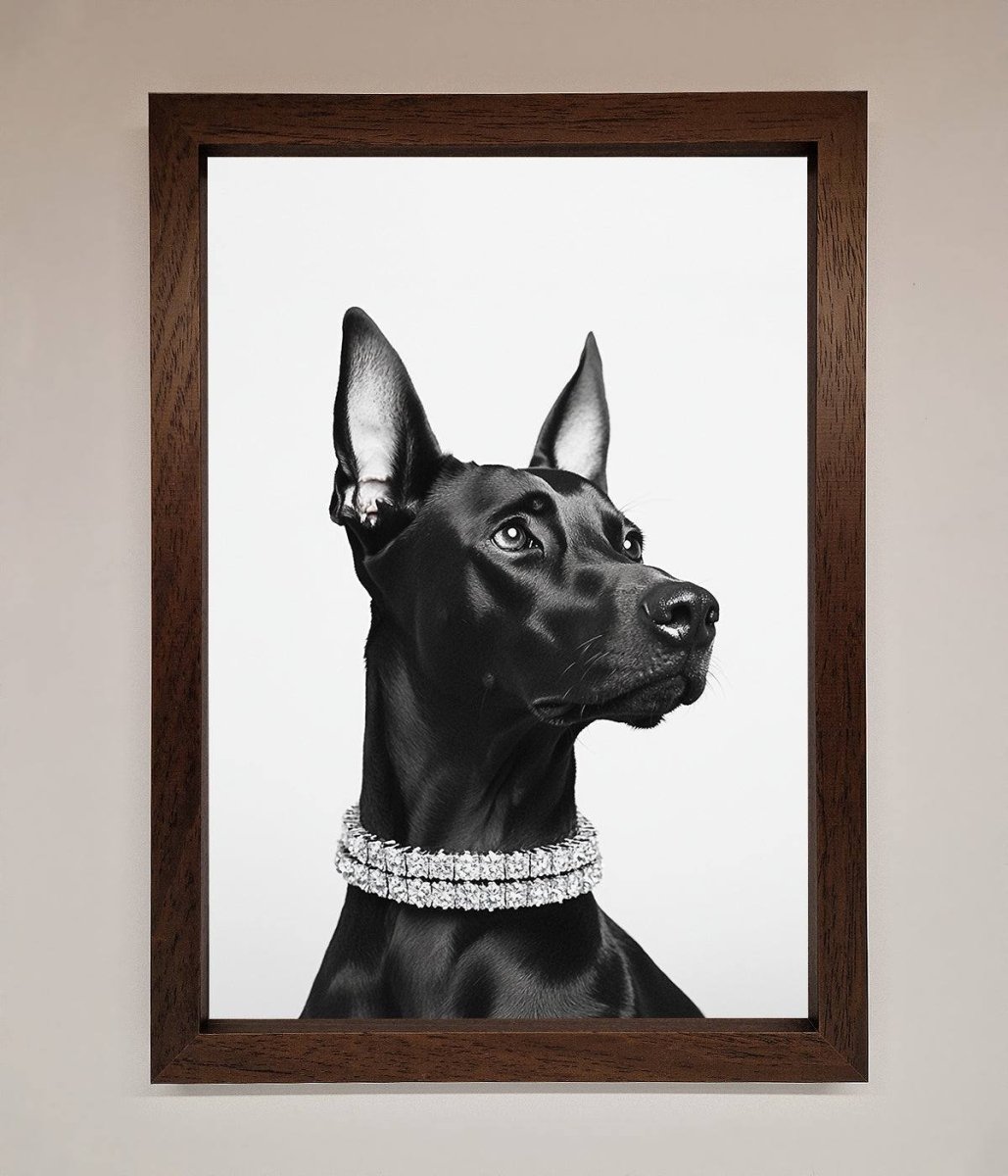 Black Doberman Diamond Neckless Framed Poster