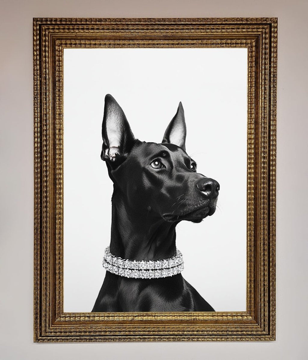 Black Doberman Diamond Neckless Framed Poster
