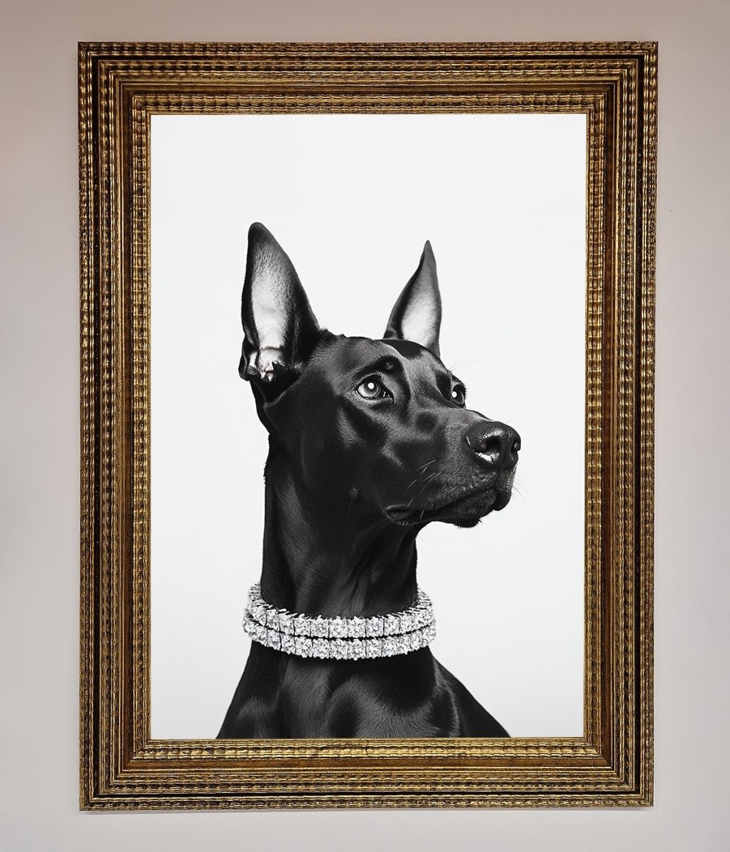 Black Doberman Diamond Neckless Framed Poster