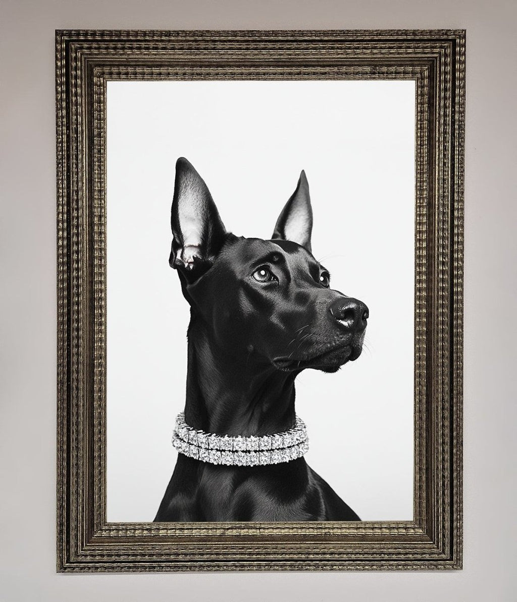 Black Doberman Diamond Neckless Framed Poster