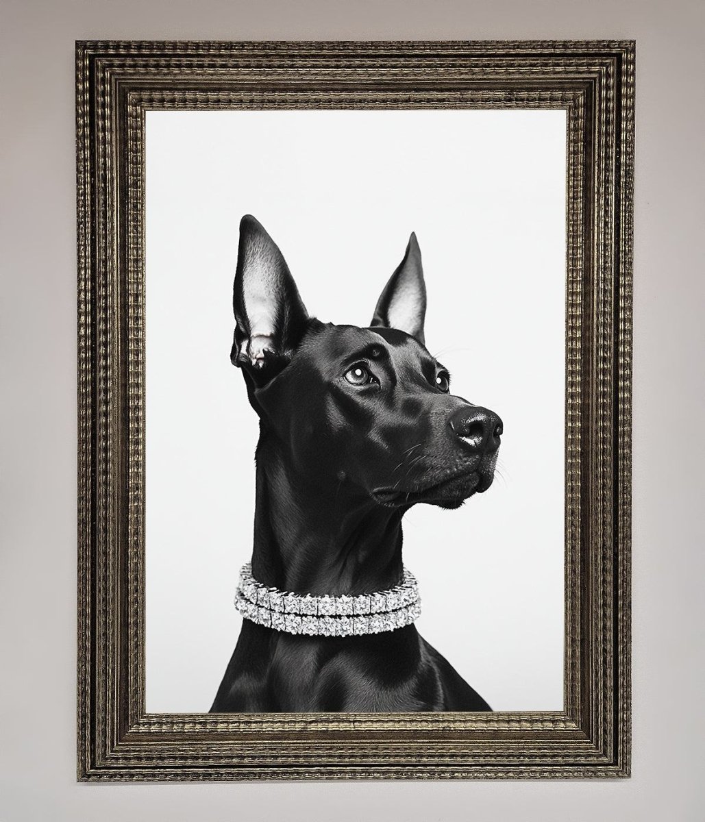 Black Doberman Diamond Neckless Framed Poster