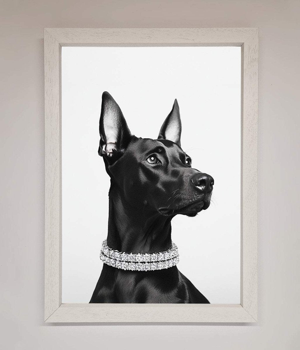 Black Doberman Diamond Neckless Framed Poster