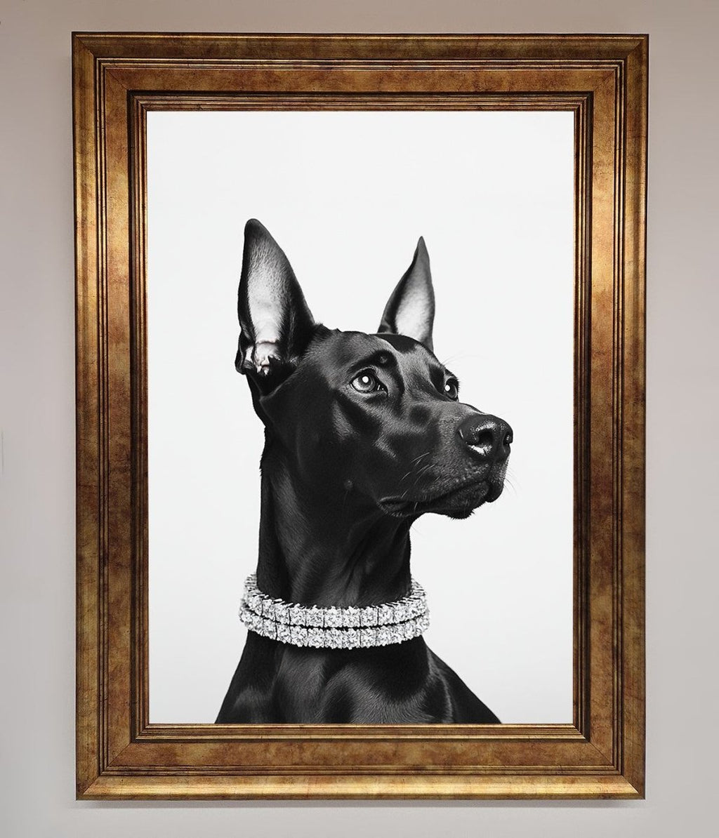 Black Doberman Diamond Neckless Framed Poster