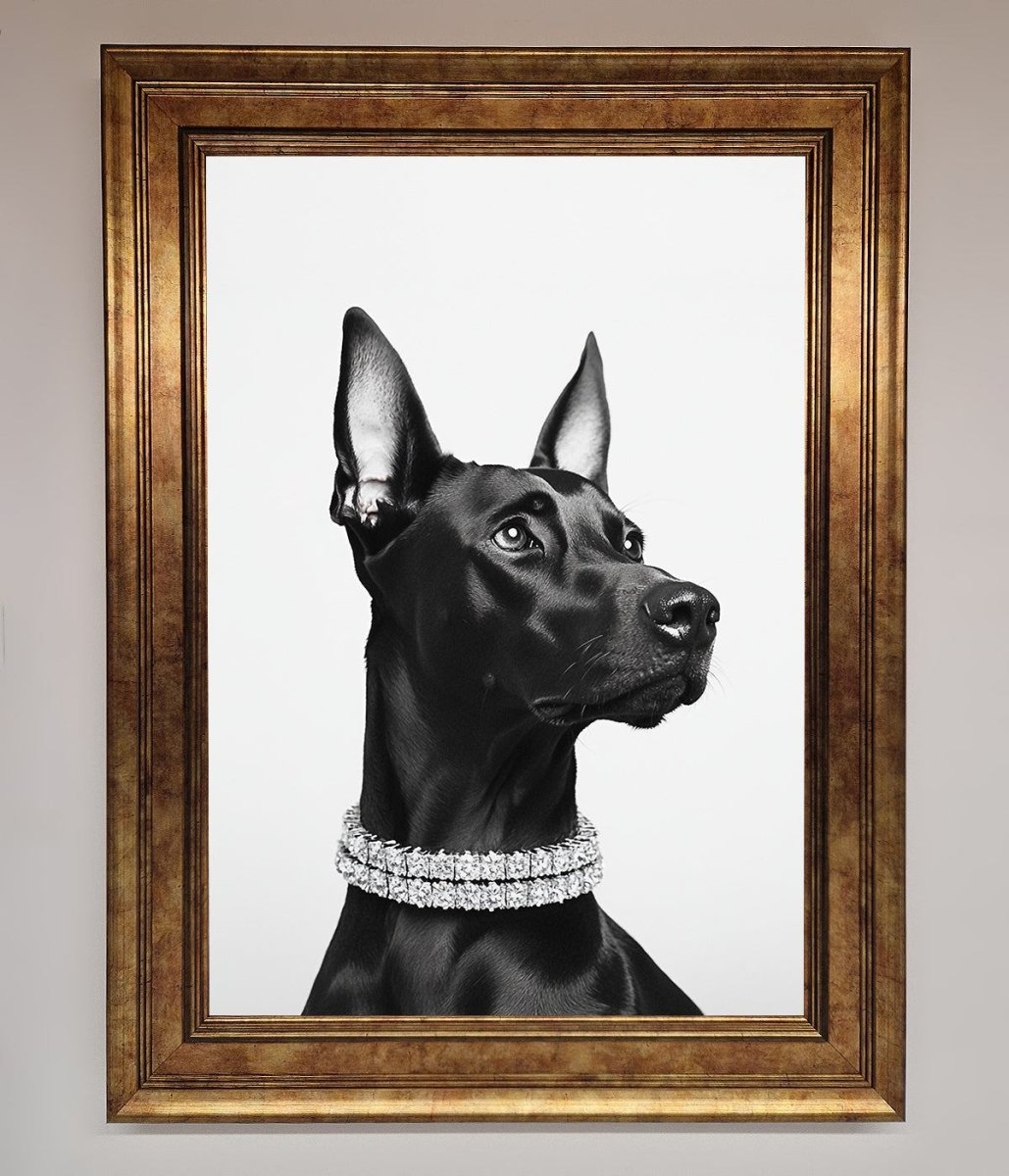 Black Doberman Diamond Neckless Framed Poster