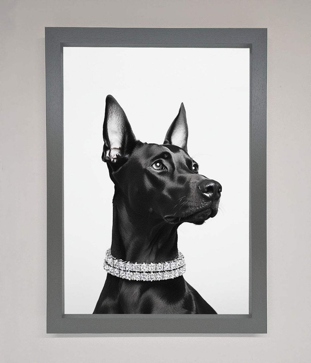Black Doberman Diamond Neckless Framed Poster