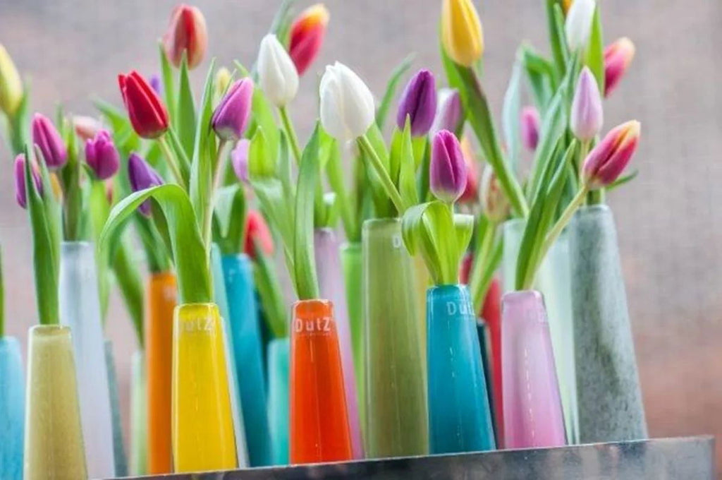 VASE SOLIFLEUR Budvase - LIGHT GREEN