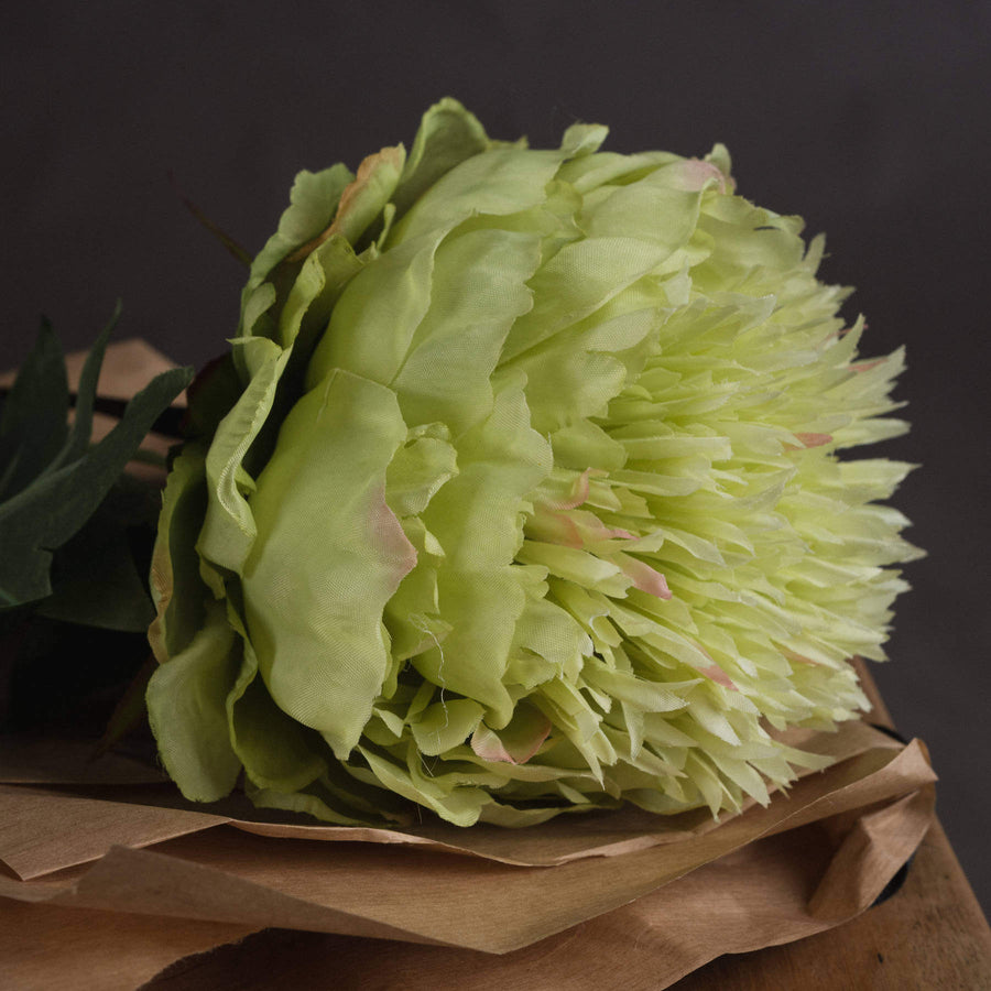 Lifelike green peony artificial stem with soft sage petals, perfect for farmhouse or contemporary home decor. by Sostter at brixbailey.com