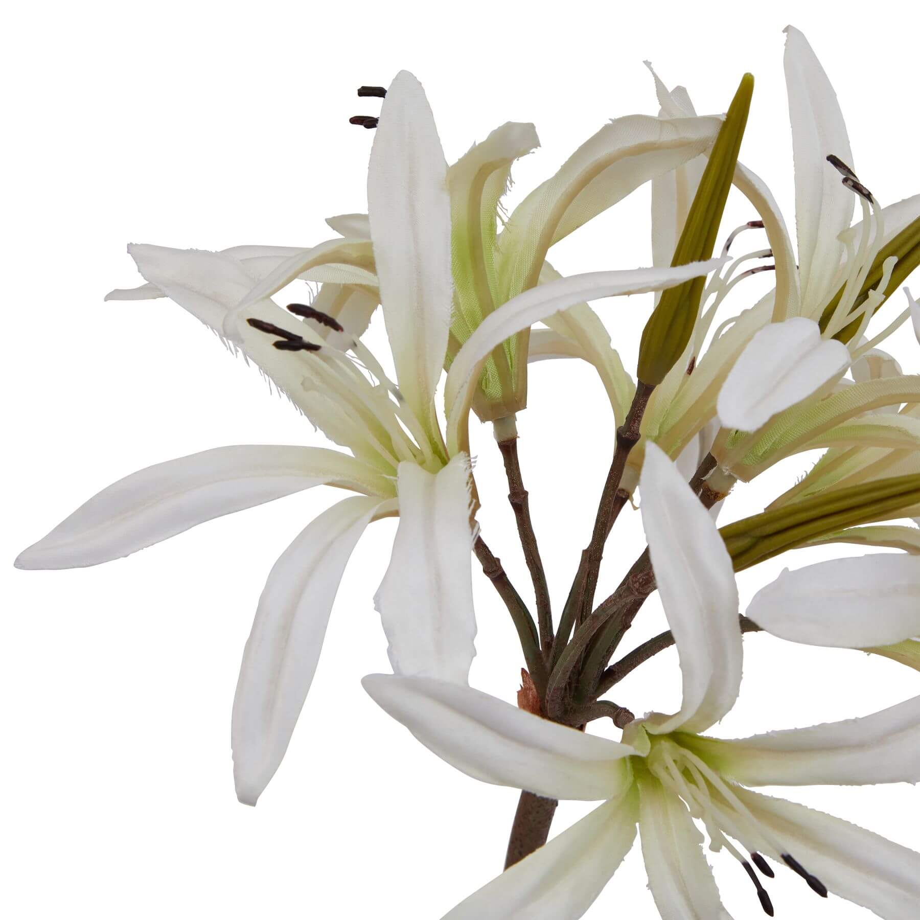 White Nerine Lily artificial stem with realistic petals, pure white florets, and naturalistic 61cm stem for home decor. by Sostter at brixbailey.com