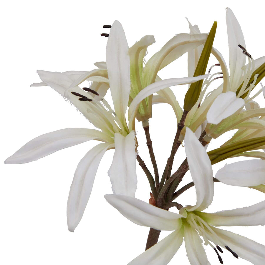 White Nerine Lily artificial stem with realistic petals, pure white florets, and naturalistic 61cm stem for home decor. by Hill Interiors at brixbailey.com