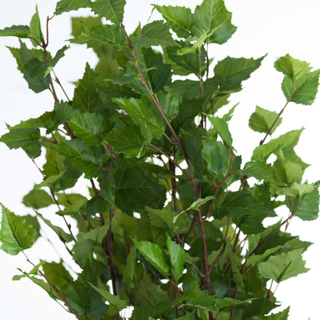 Lifelike green branch spray with lush foliage, 128cm tall, perfect for seasonal home decor arrangements. by RoomLondon at brixbailey.com