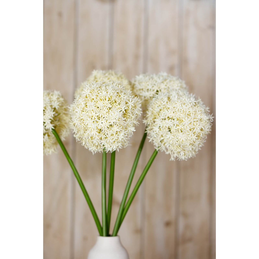 Cream artificial allium stem, lifelike spherical bloom with soft petals, 90cm tall for elegant home decor by Sostter at brixbailey.com