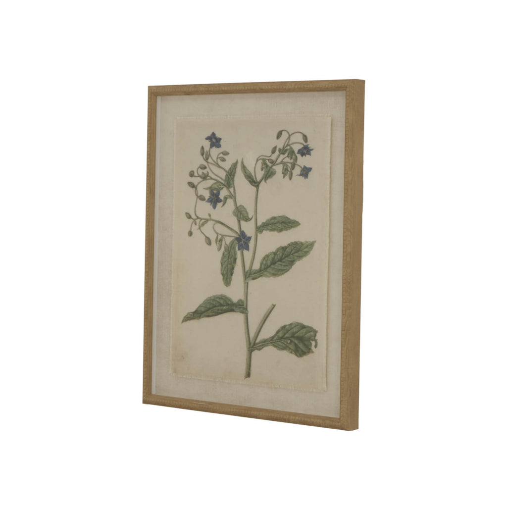 Handcrafted borage botanical artwork on linen canvas with beaded brown frame, 50x40cm, neutral tones for elegant wall decor by RoomLondon at brixbailey.com