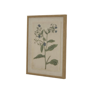 Handcrafted borage botanical artwork on linen canvas with beaded brown frame, 50x40cm, neutral tones for elegant wall decor by RoomLondon at brixbailey.com