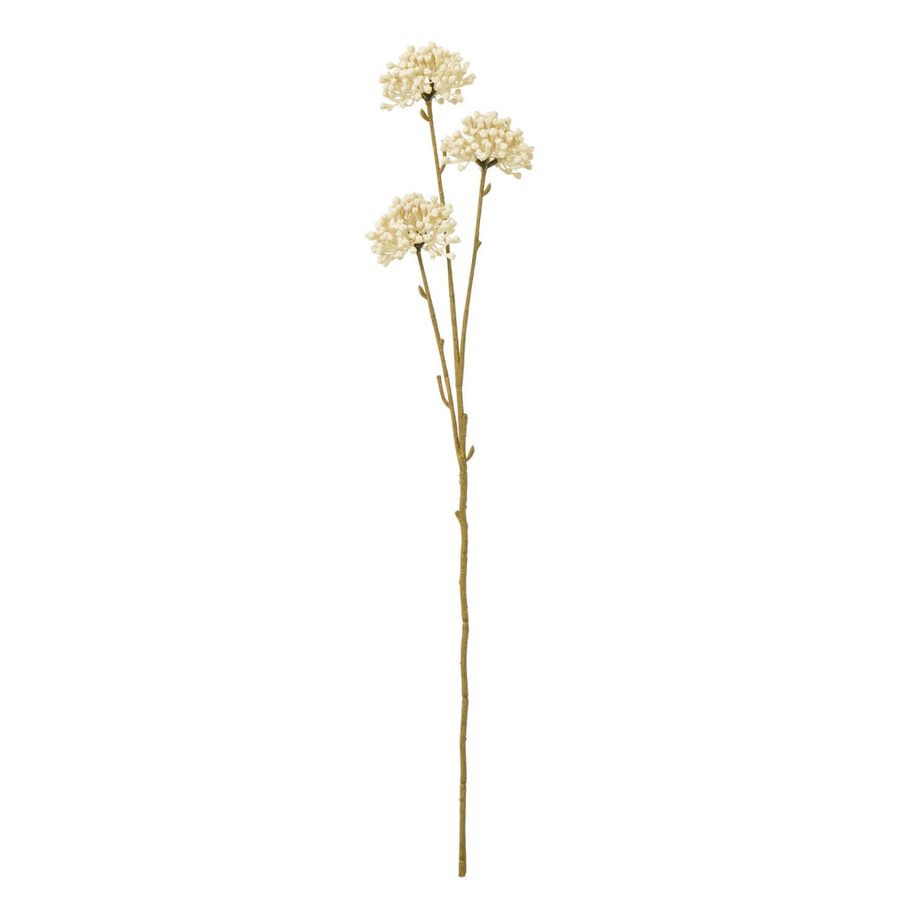 Cream allium spray with lifelike spherical blooms, 60cm bendable stems, for vases or centerpieces in soft neutral decor. by RoomLondon at brixbailey.com