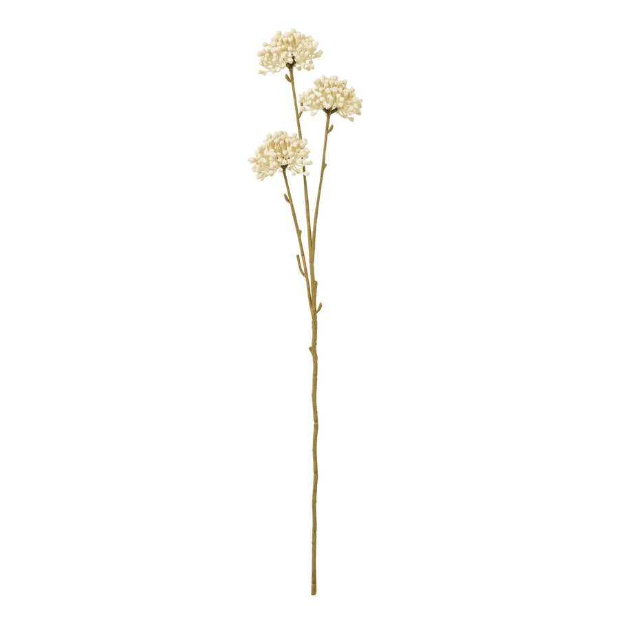 Cream allium spray with lifelike spherical blooms, 60cm bendable stems, for vases or centerpieces in soft neutral decor. by Sostter at brixbailey.com