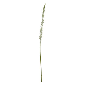 White faux foxtail lily stem with cascading florets, 88cm tall, for modern farmhouse or minimalist decor. by sostter at brixbailey.com