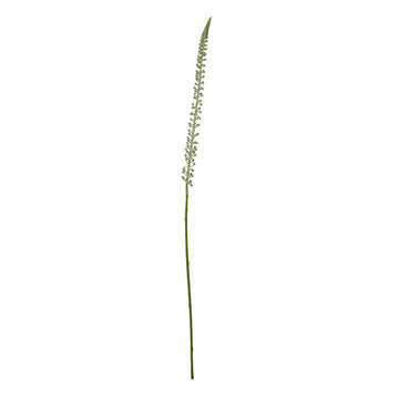 White faux foxtail lily stem with cascading florets, 88cm tall, for modern farmhouse or minimalist decor. by Sostter at brixbailey.com