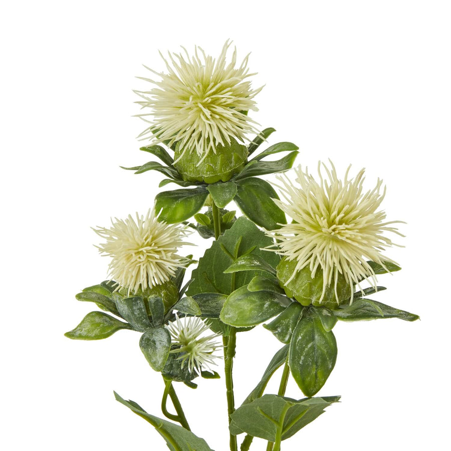 Cream safflower spray with lifelike spherical blooms and realistic foliage, perfect for modern or traditional home decor by Sostter at brixbailey.com