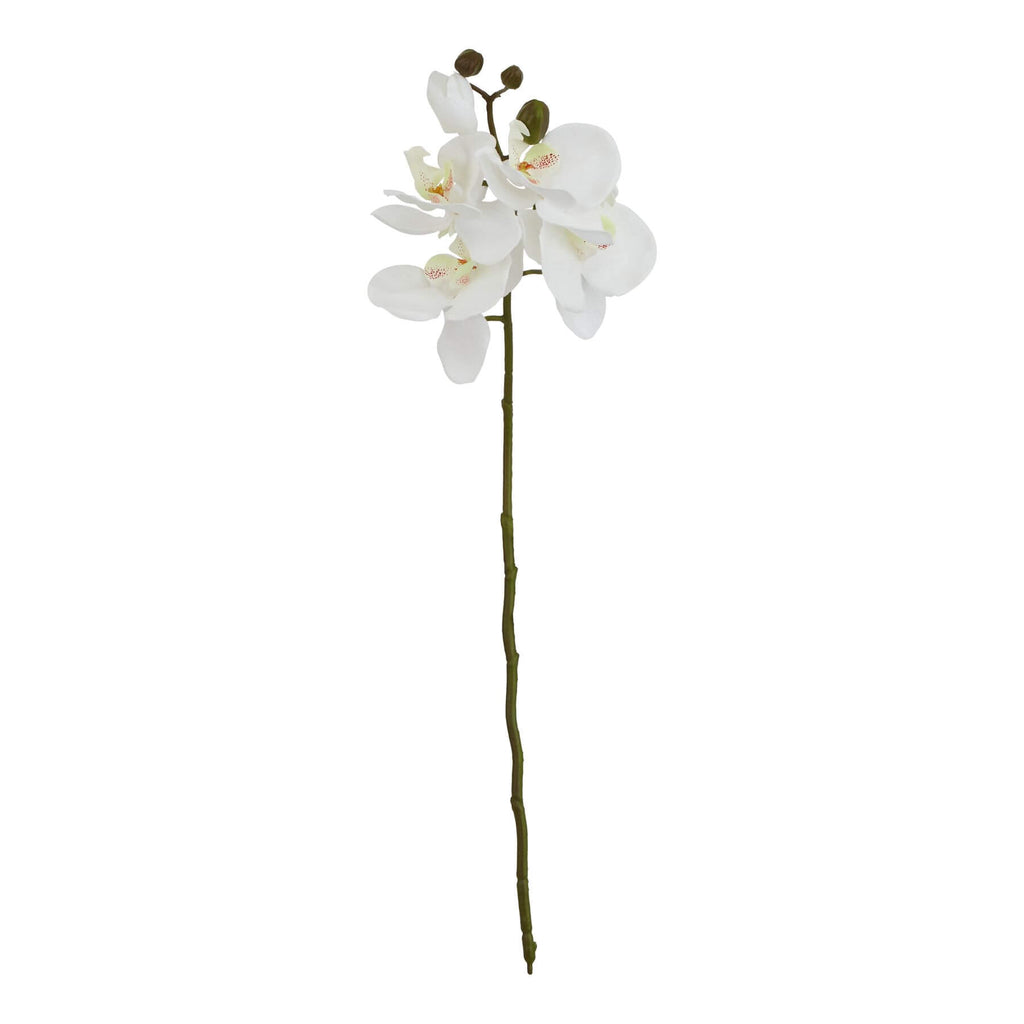 White artificial butterfly orchid stem, 52cm tall lifelike faux flower for home decor by Sostter at brixbailey.com