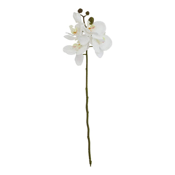 White artificial butterfly orchid stem, 52cm tall lifelike faux flower for home decor by Sostter at brixbailey.com