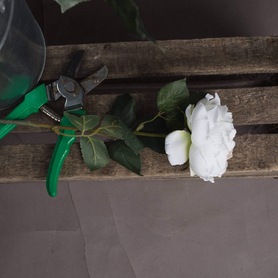 Lifelike white artificial Austin rose with blush center, realistic plastic petals and stem, 25-inch floral decor by Sostter at brixbailey.com