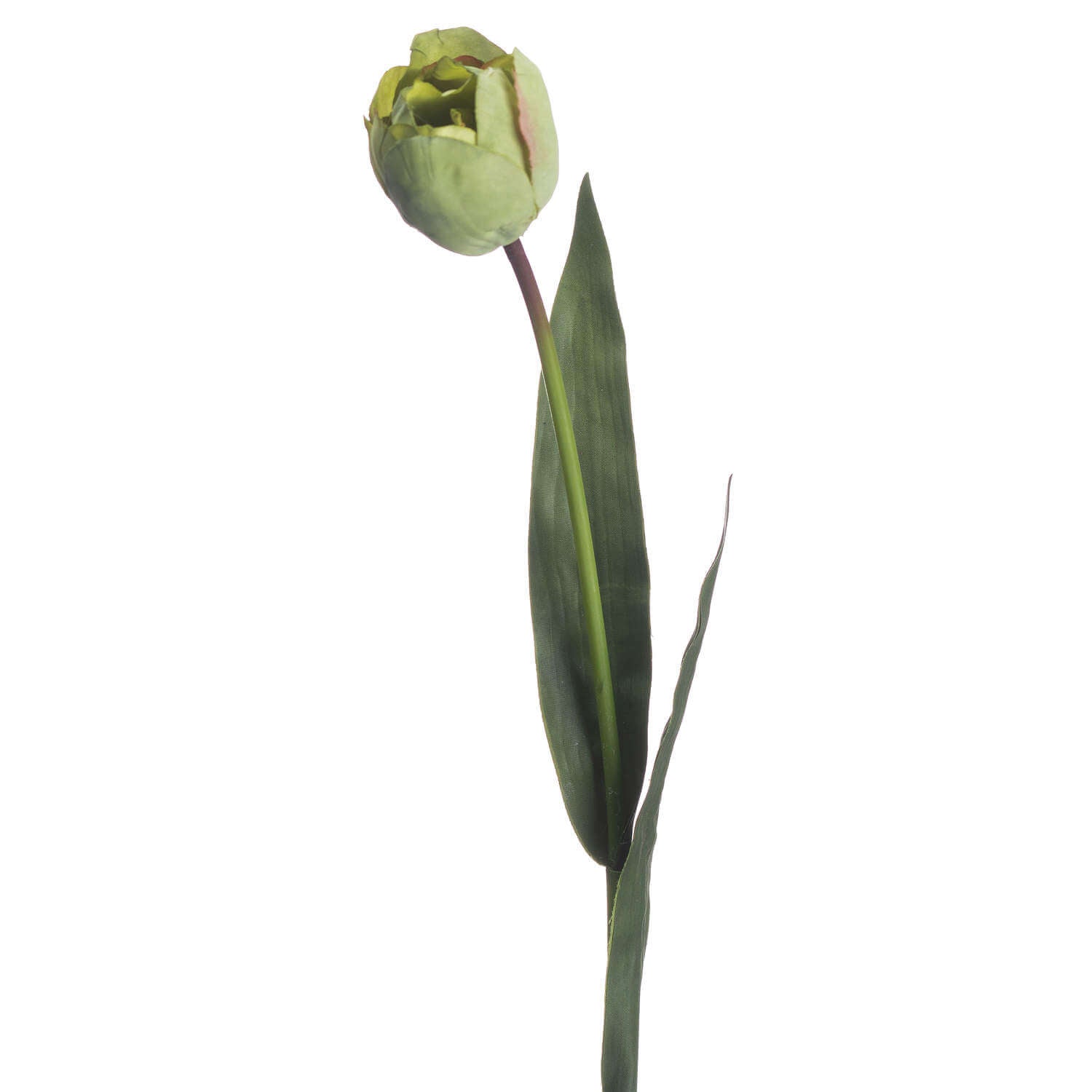 Artificial green tulip stems, 50cm tall, ultra-realistic plastic petals for year-round floral arrangements by Sostter at brixbailey.com