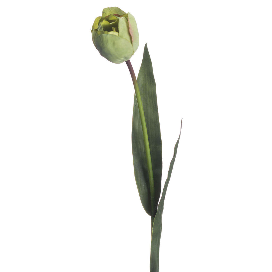 Artificial green tulip stems, 50cm tall, ultra-realistic plastic petals for year-round floral arrangements by Sostter at brixbailey.com