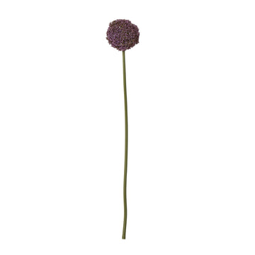 Cream Giant Allium artificial stem with soft purple spherical bloom, 75cm tall, lifelike plastic floral decor for home or office by Sostter at brixbailey.com
