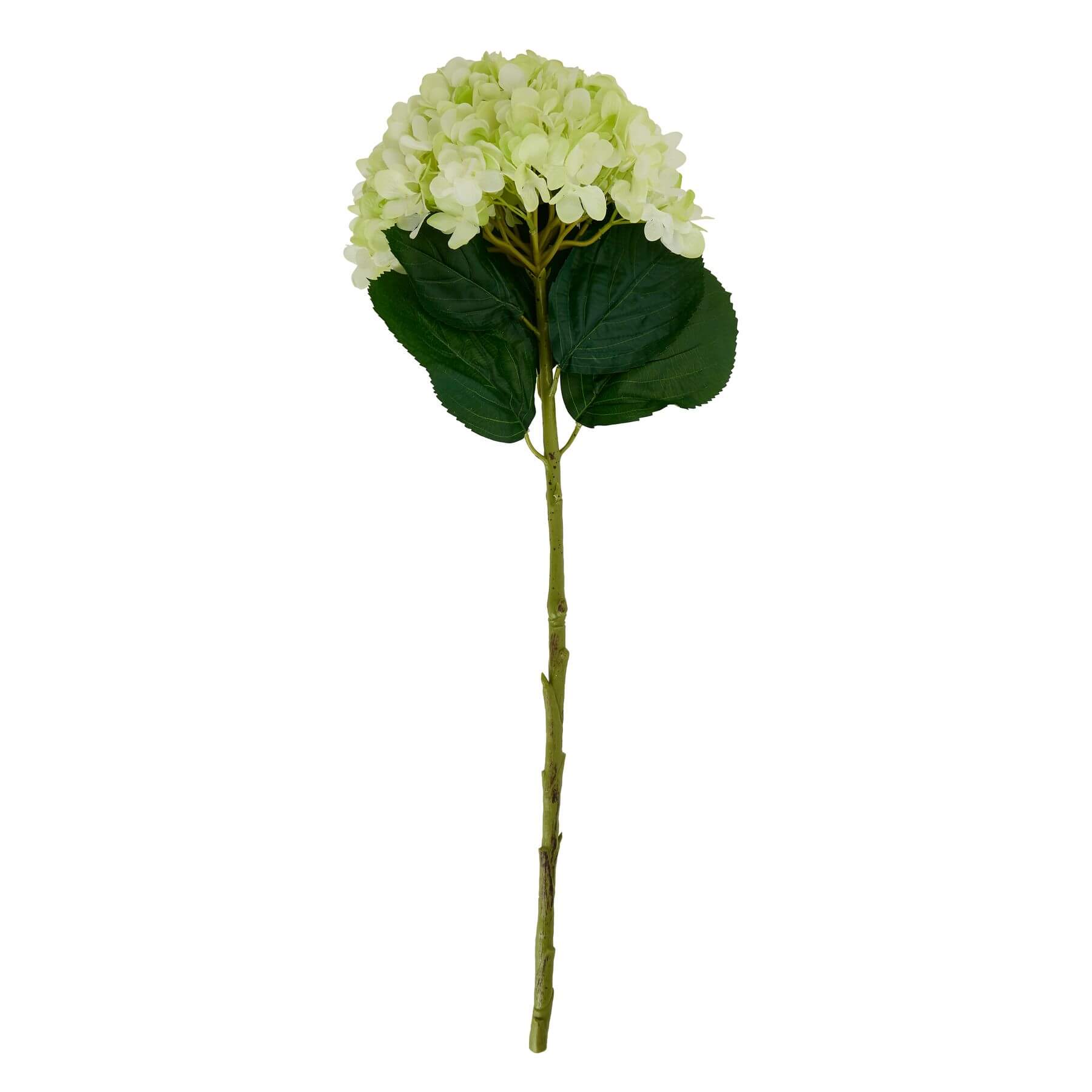 Lifelike oversized green hydrangea arrangement with hand-painted petals, perfect for year-round home decor by Sostter at brixbailey.com