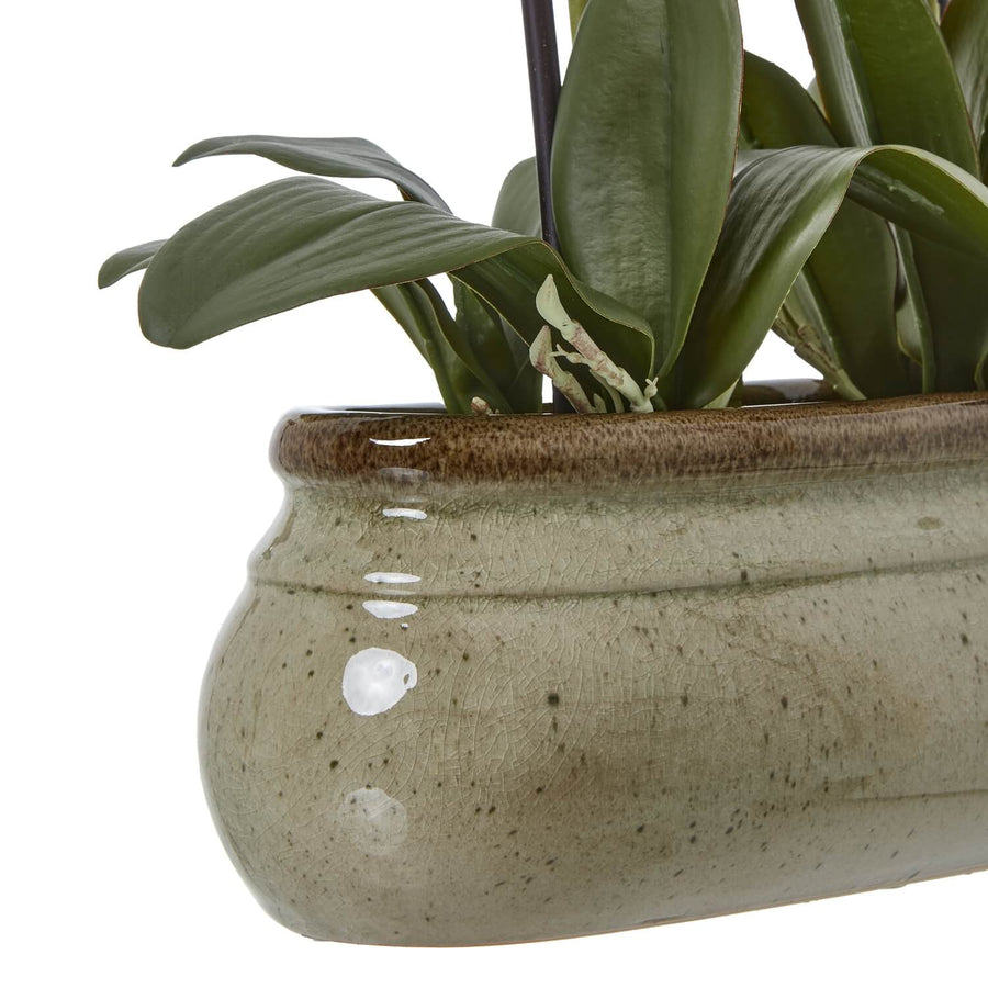 Lifelike faux Phalaenopsis orchid in natural green tones, hyper-realistic plastic petals, elegant home decor by Sostter at brixbailey.com