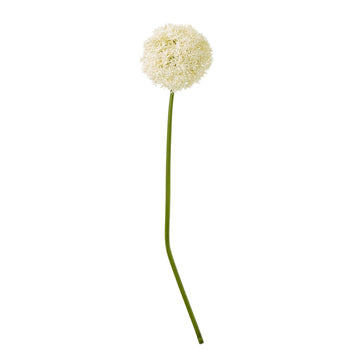 Cream artificial allium stem, 90cm tall, lifelike plastic floral decor for elegant home arrangements  

**  
- **Keywords included:** cream, artificial allium stem, 90cm, lifelike, plastic, floral decor, home arrangements  
- **Clear description:** Visually conveys the productâ€™s appearance and purpose  
- **SEO & accessibility optimized:** Concise, descriptive, and keyword-rich without redundancy by Sostter at brixbailey.com