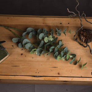 Lifelike 70cm artificial eucalyptus spray with silver-green leaves, perfect for rustic or modern home decor. by sostter at brixbailey.com