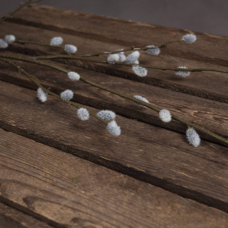 Lifelike grey pussy willow branch, 40.5 tall with realistic catkins, perfect for modern or farmhouse decor by Sostter at brixbailey.com