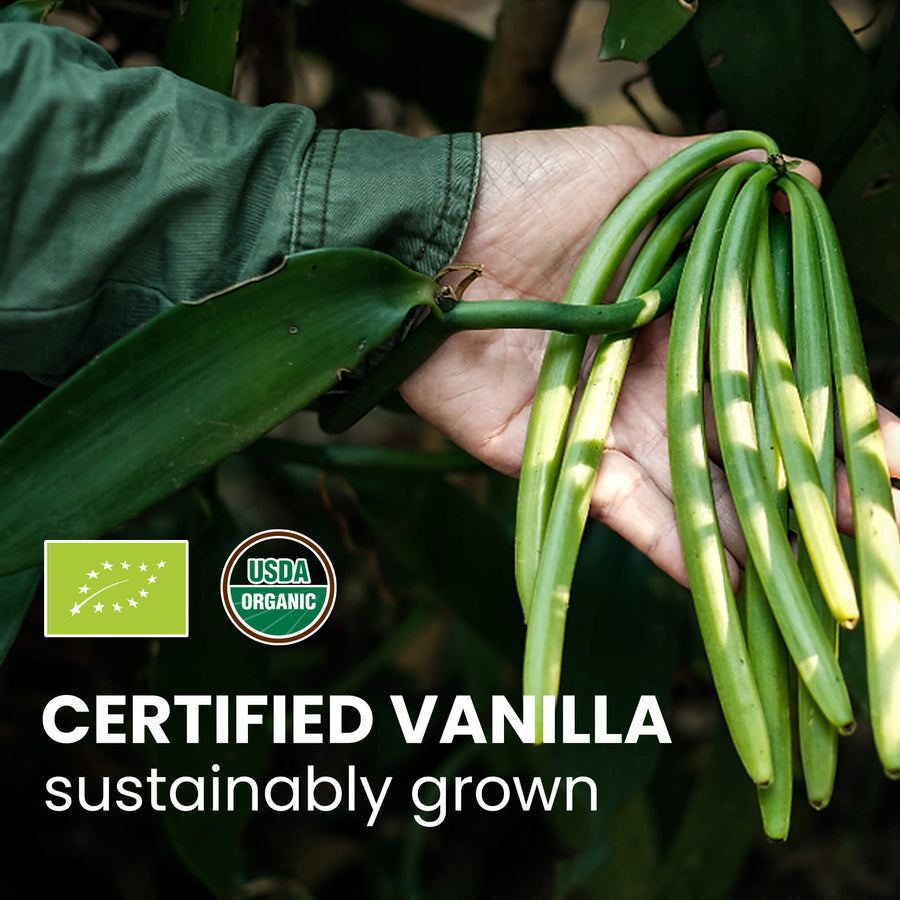 5+1 Gourmet Vanilla Beans (14-18 cm)