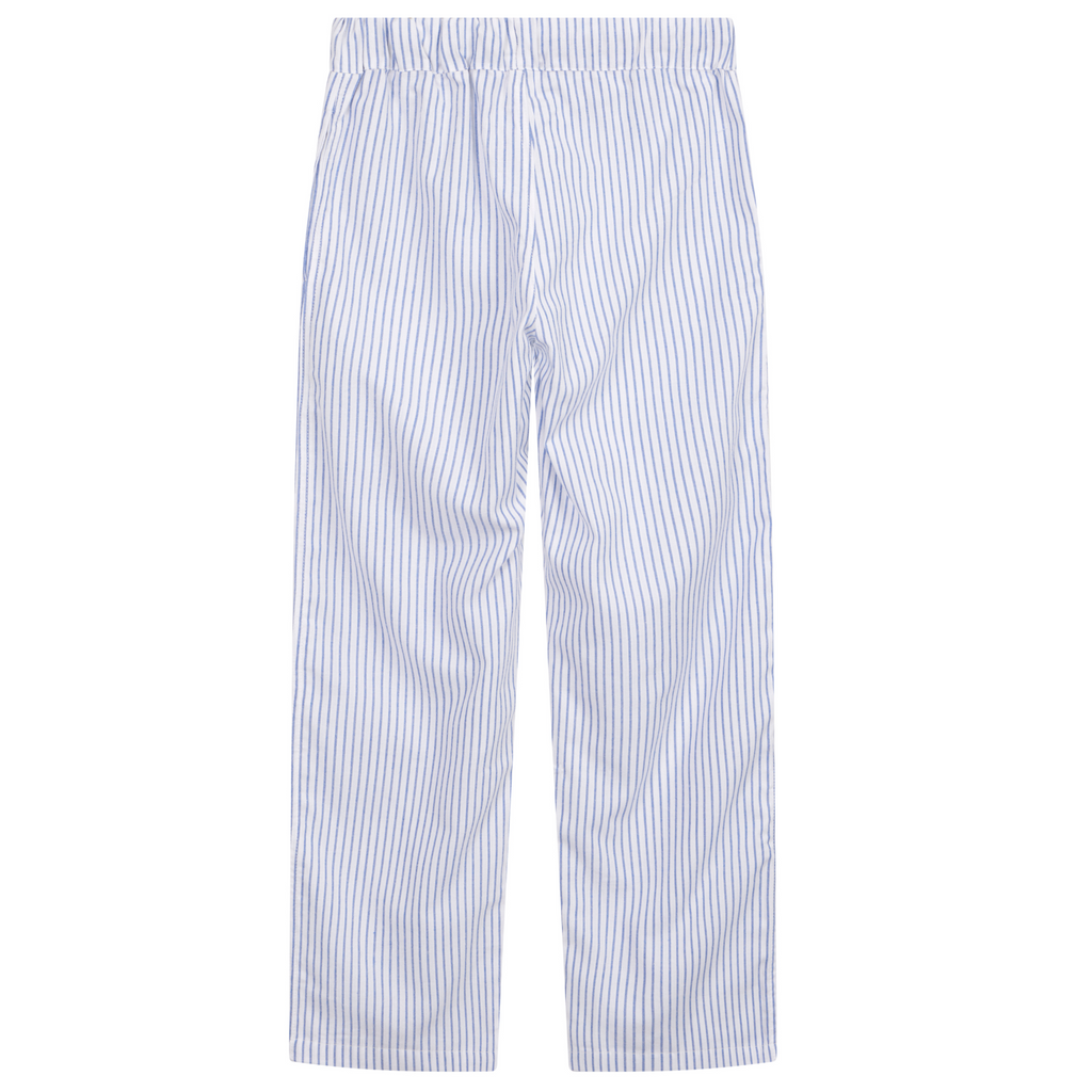 Children's Monk Seal