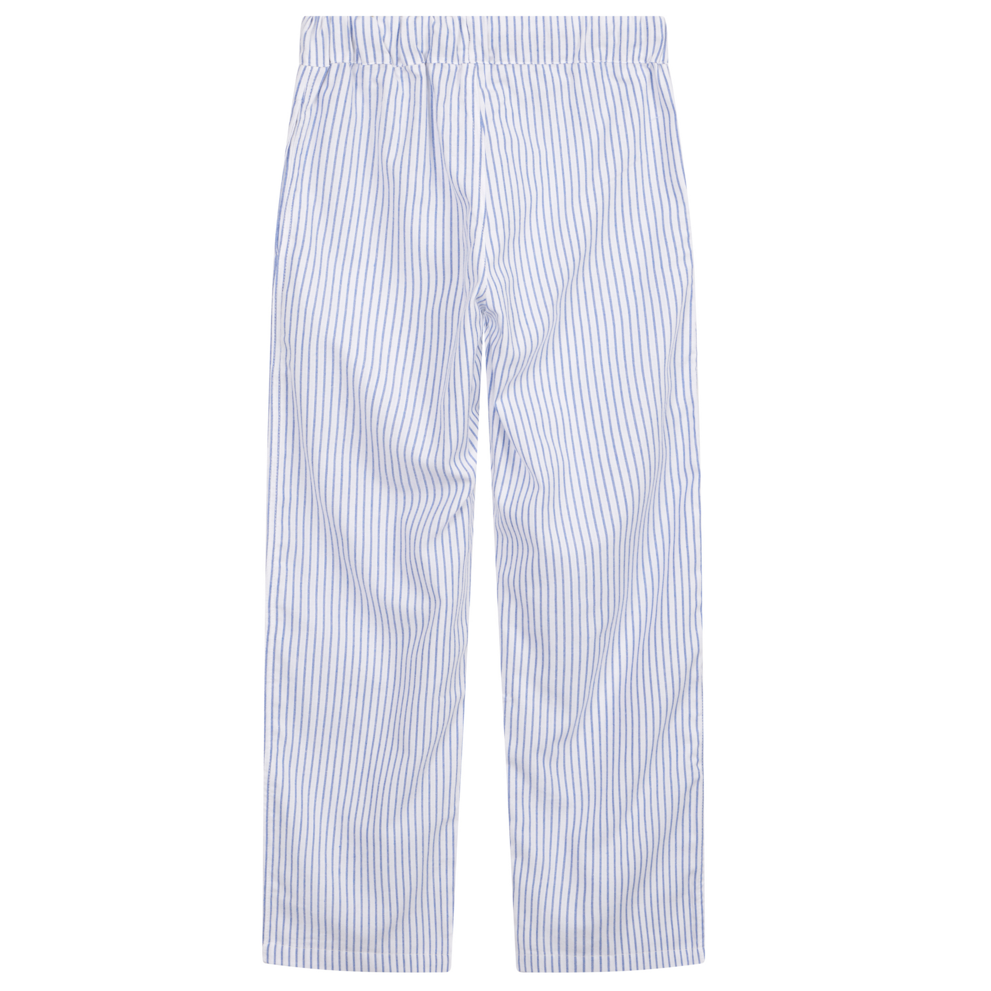 Children's Monk Seal