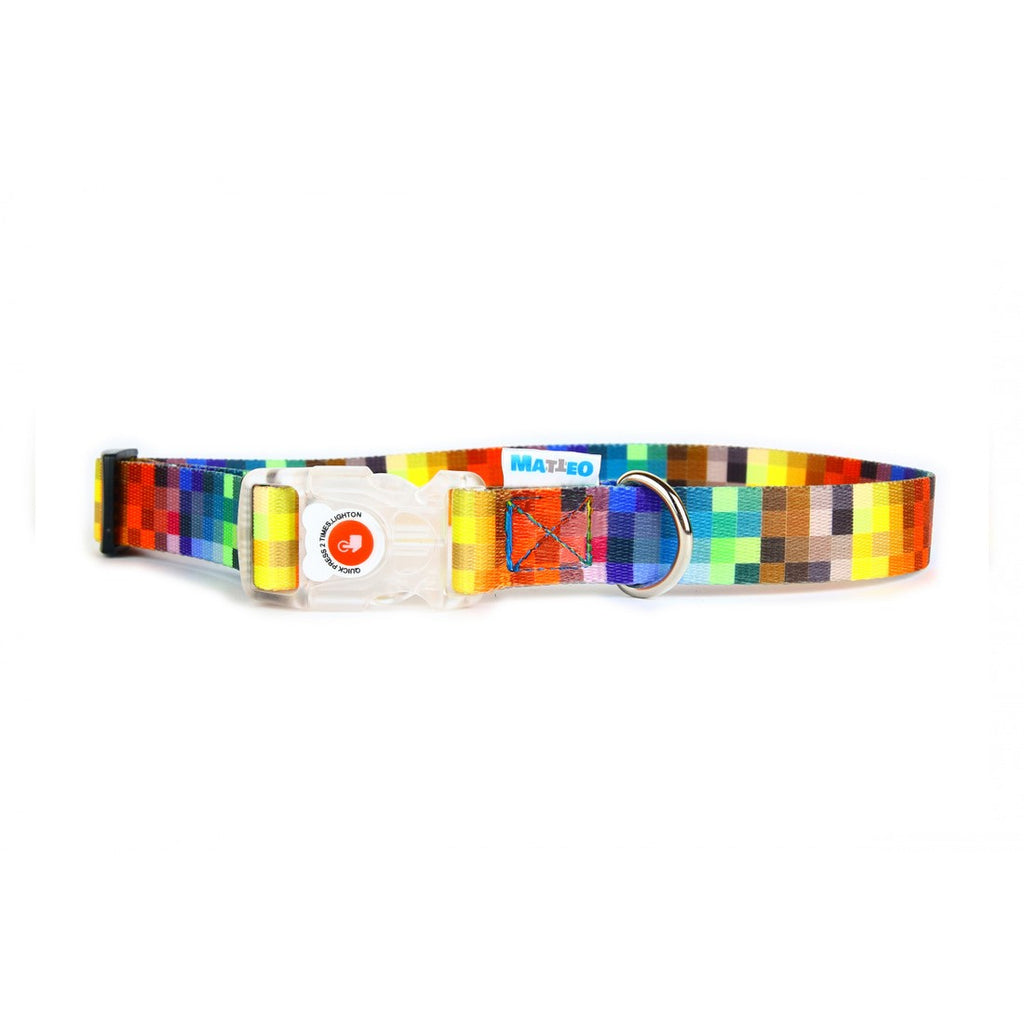 a playful dog modeling the led collar with its vibrant blue light mode glowing in a dimly lit room