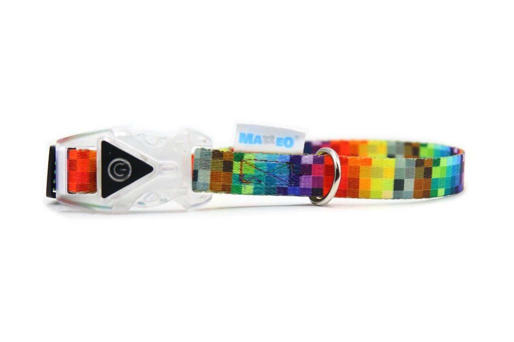 elegant led dog collar with a glowing transparent buckle on a dark background