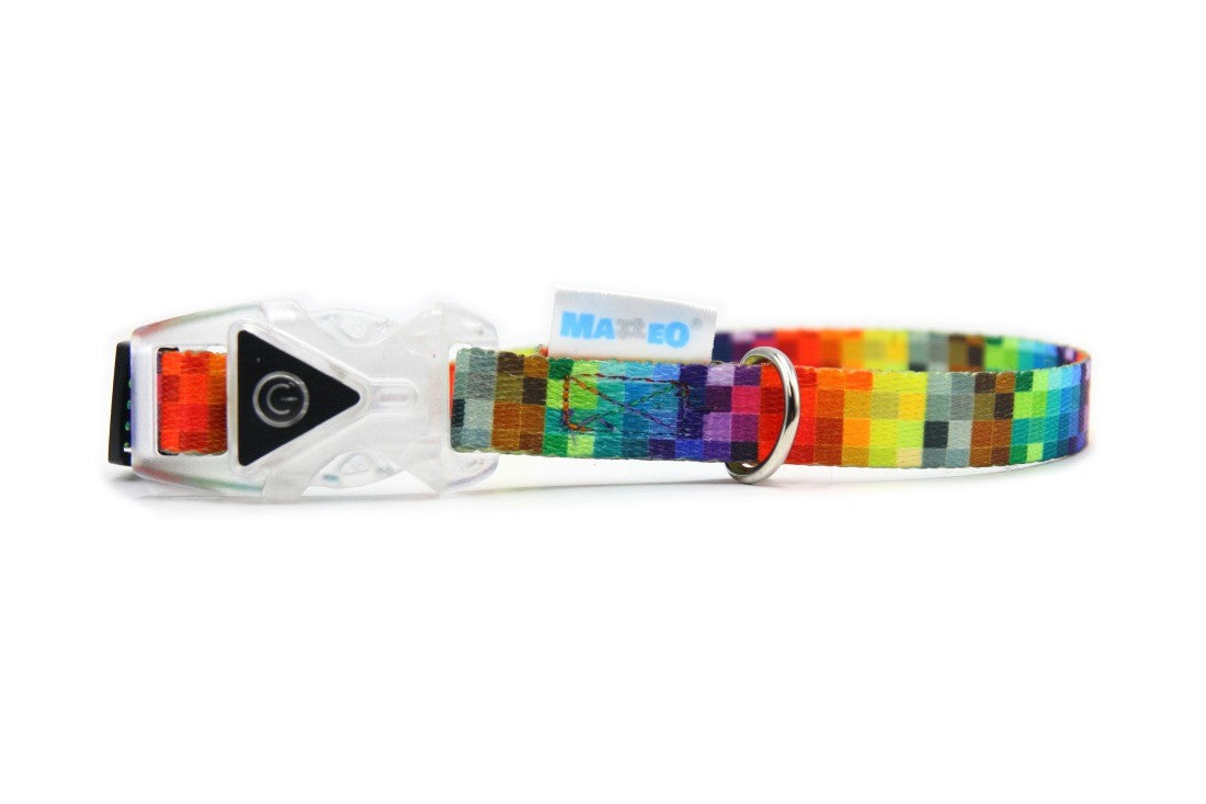 elegant led dog collar with a glowing transparent buckle on a dark background