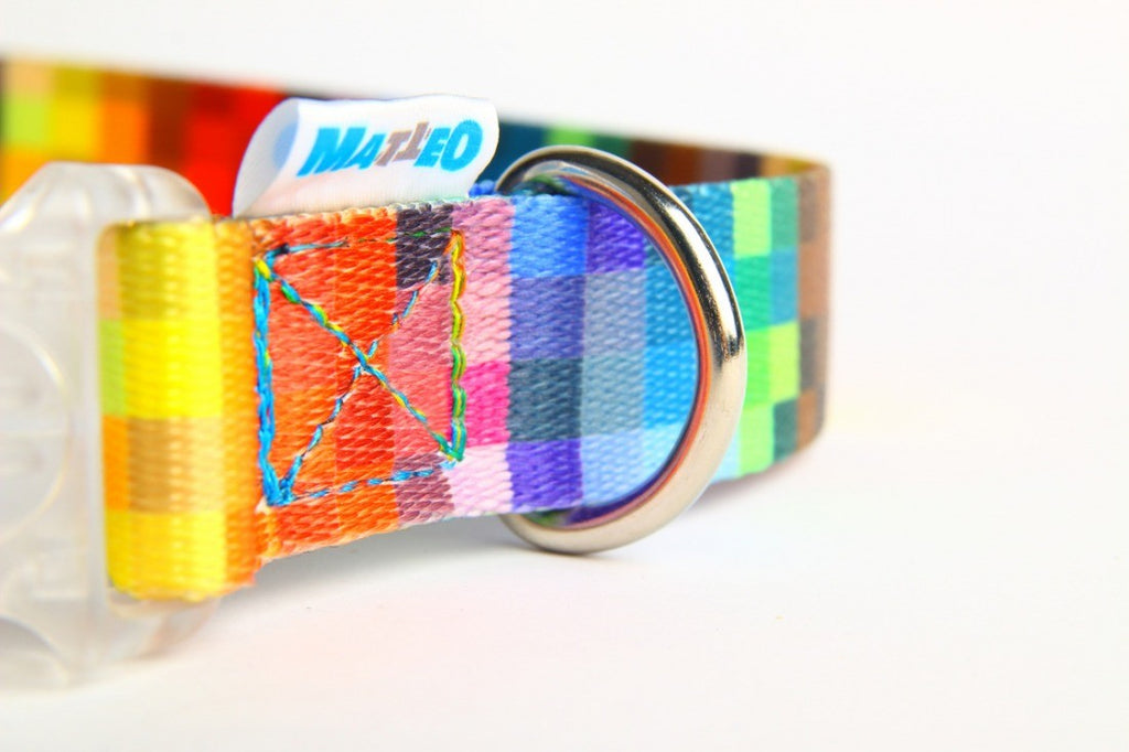 a functional led dog collar with a glowing plastic buckle in a nighttime setting