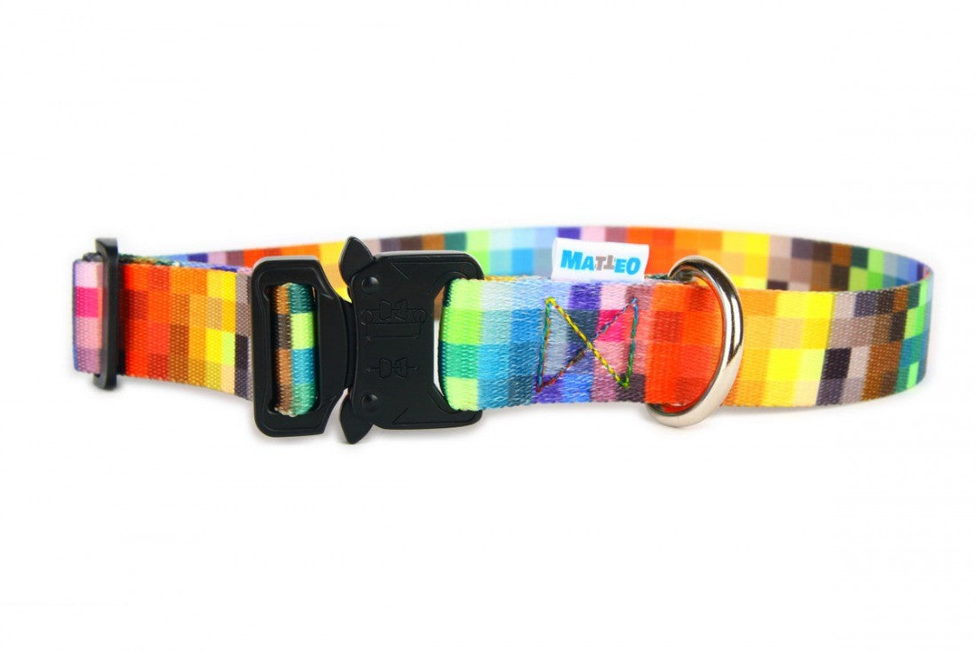close-up detail of the durable metal buckle on a woven dog collar