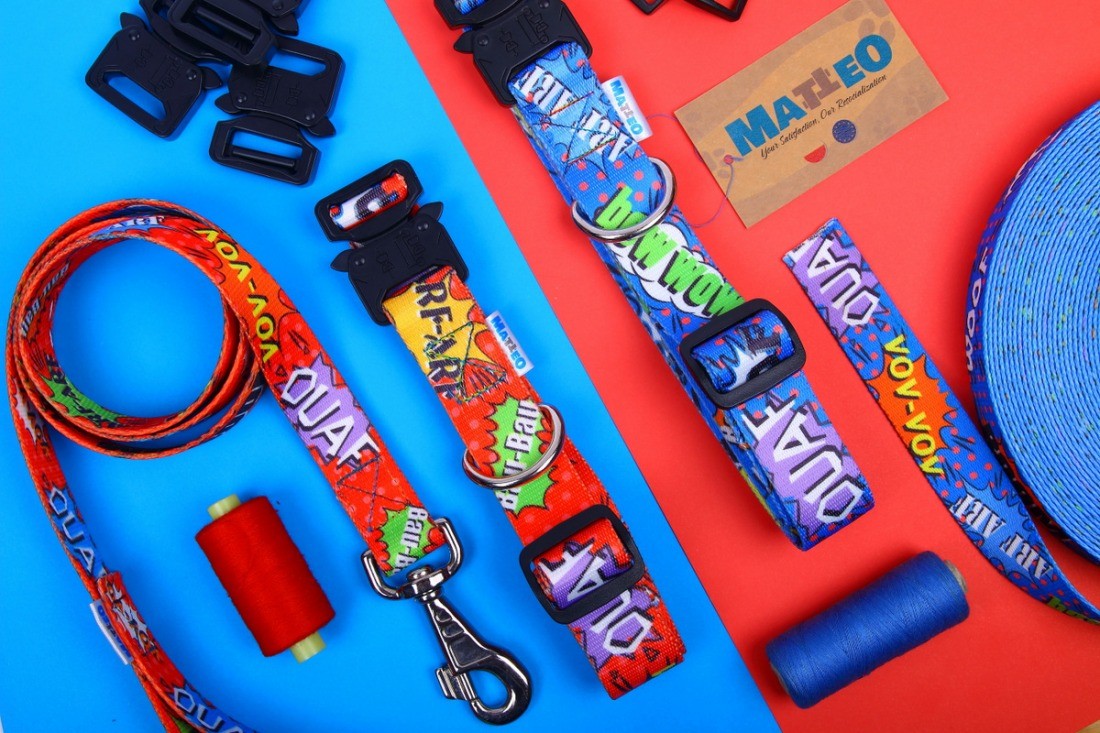 playful dog in a sunlit park wearing a vibrant red graffiti collar with a shiny metal buckle