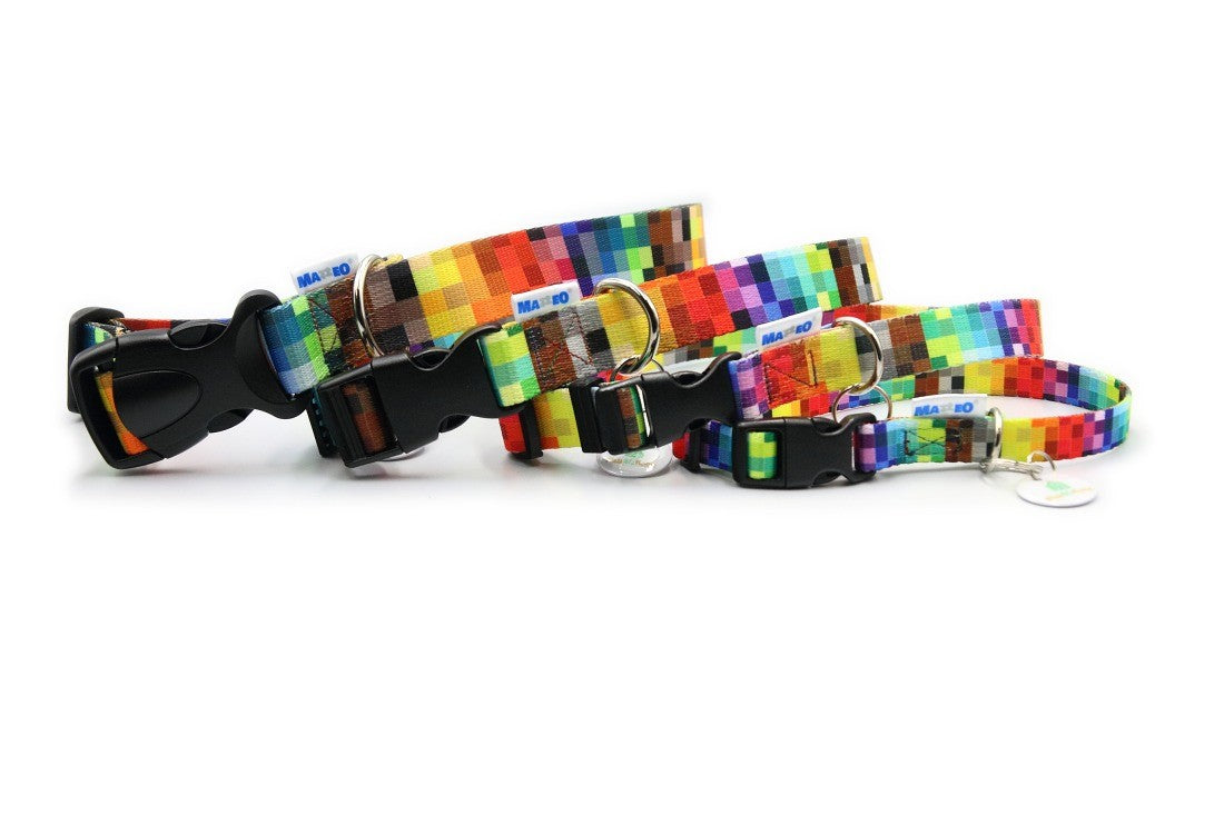 elegant dog collar with polished nickel hardware and a refined woven pattern