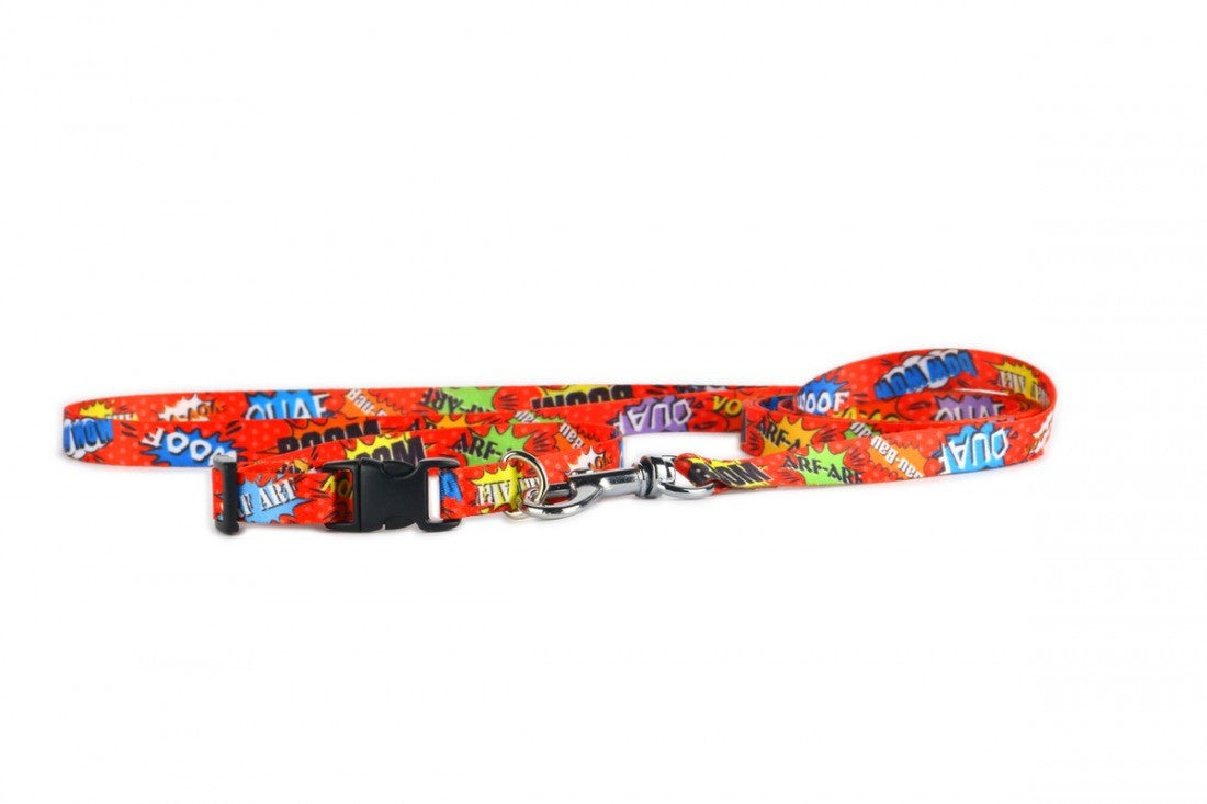soft morning light on a red graffiti dog collar with a secure nickel buckle