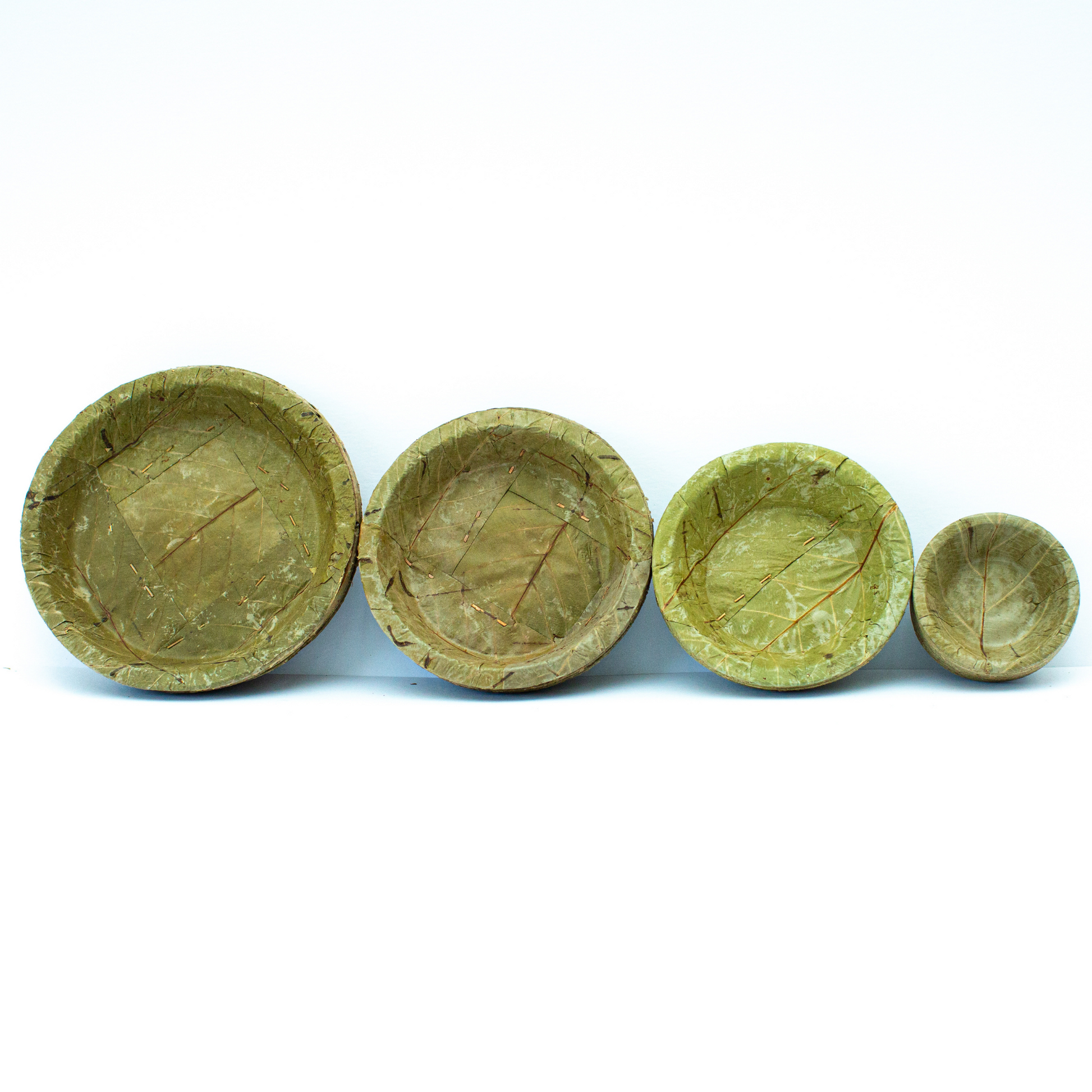 Sal Leaf Combo Pack Four Sizes 20 Pieces