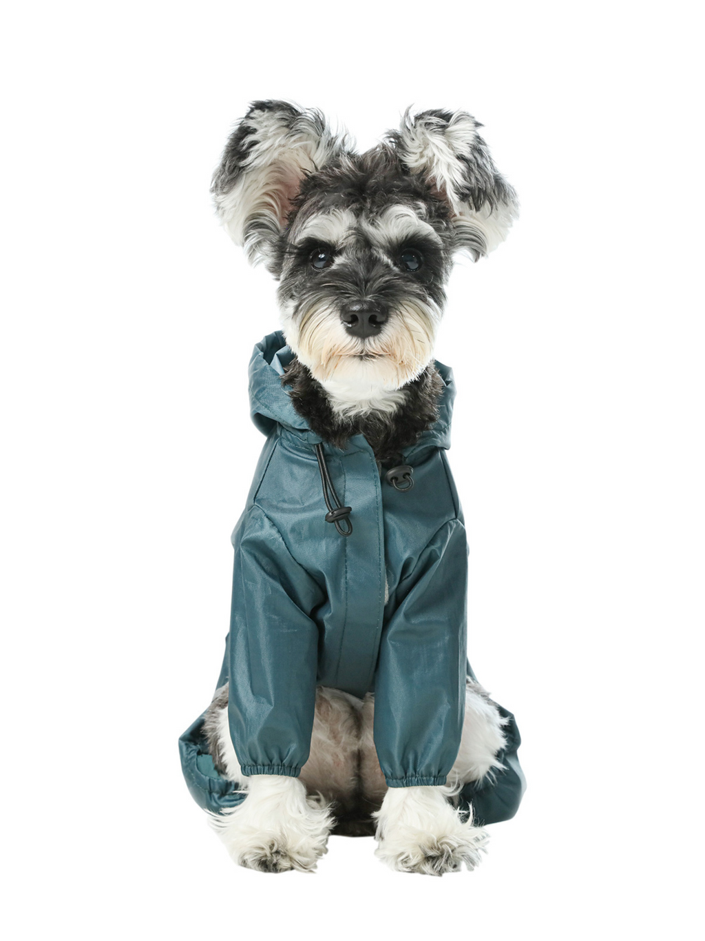 Ultralight Full Coverage Hooded Waterproof Dog Jacket in Blue